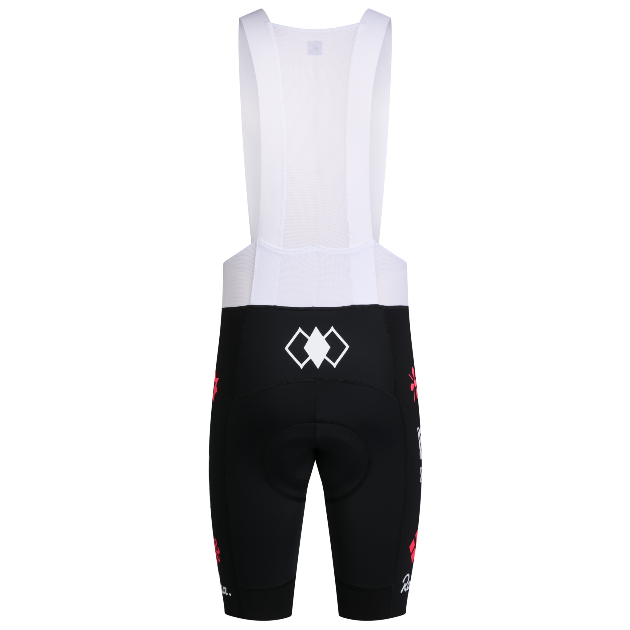 EF Men&apos;s Pro Team Bib Shorts III - Regular Multicolour