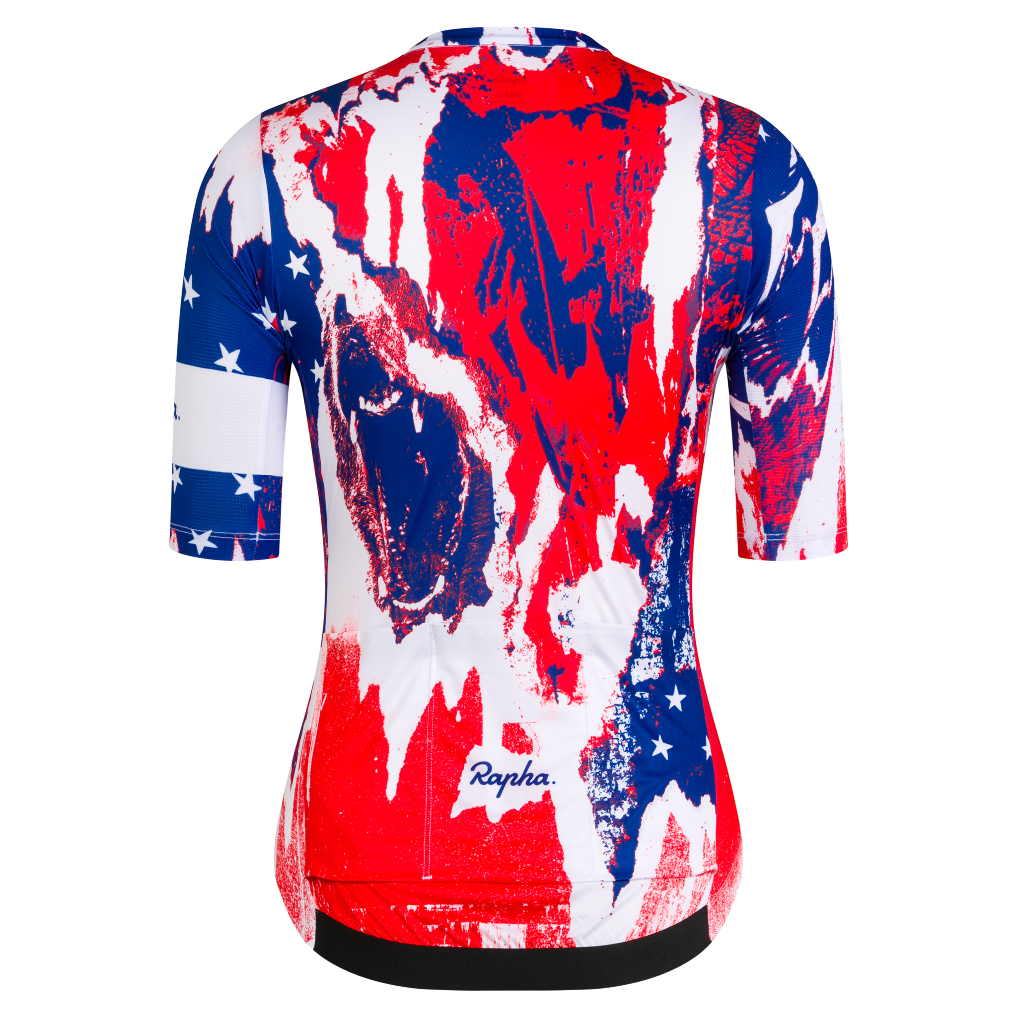 Santa Cruz htSQD Women&apos;s Pro Team Training Jersey - Nat Champs Multicolour