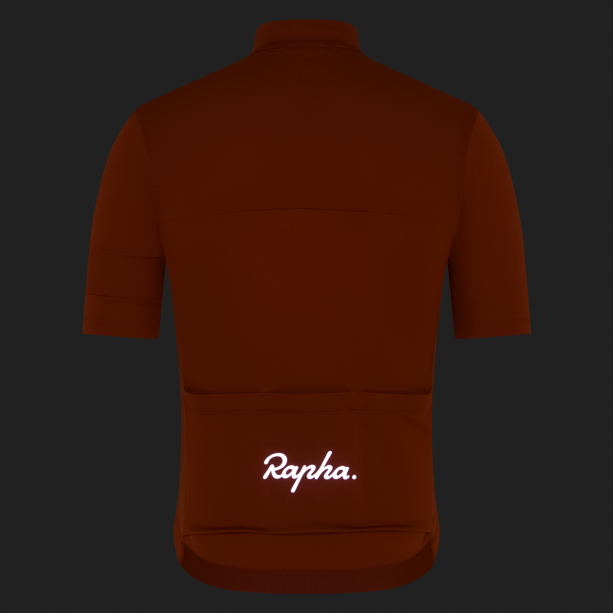 2328-Men-apos-s-Brevet-Element-Jersey-Paprika-Silver-Reflective-8.jpg Men's Brevet Element Jersey Paprika / Silver Reflective