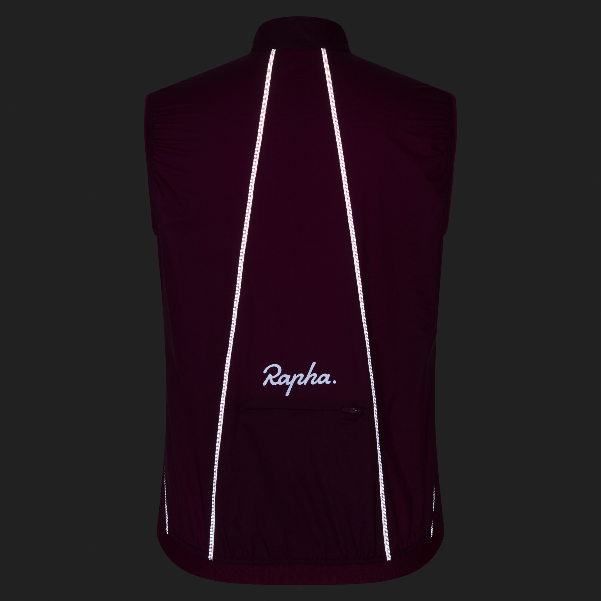 2709-Women-apos-s-Brevet-Element-Wind-Gilet-Plum-Caspia-Plum-Caspia-8.jpg Women's Brevet Element Wind Gilet Plum Caspia / Plum Caspia