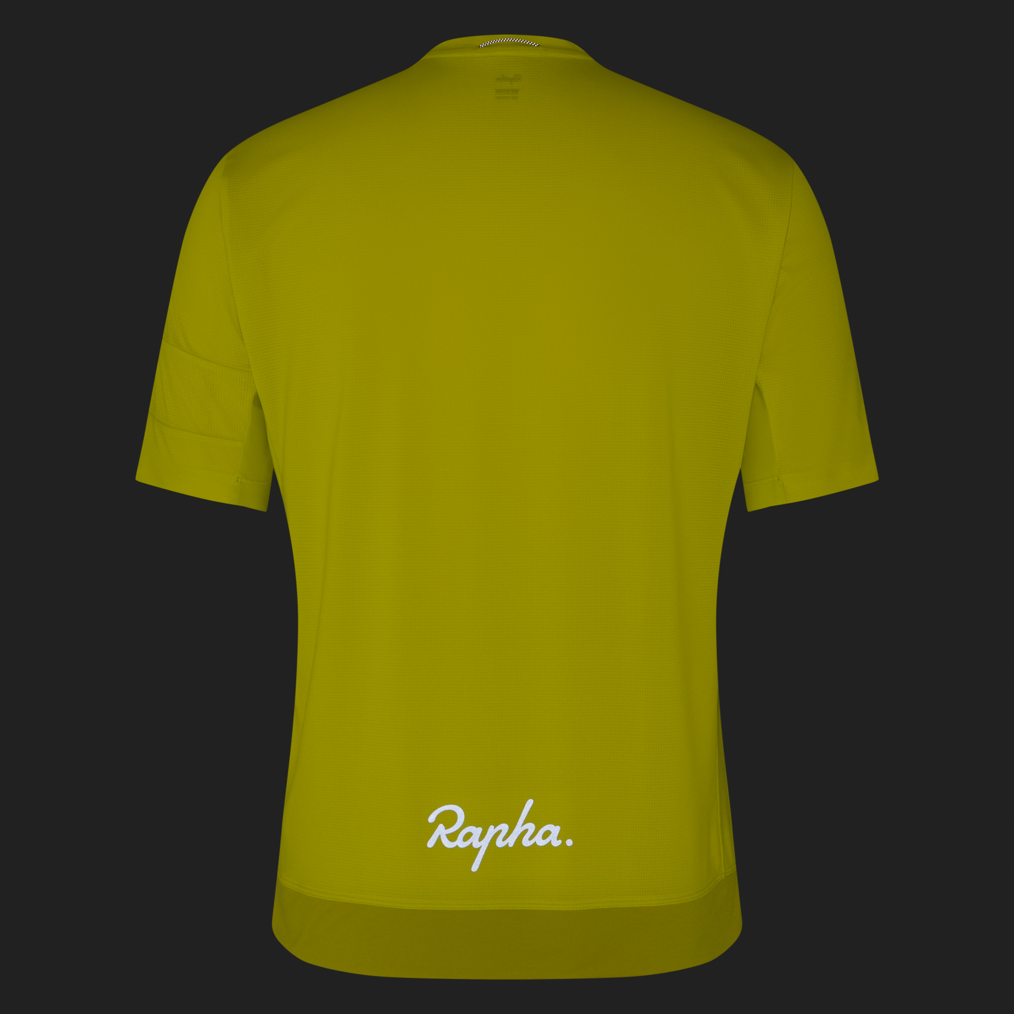 2762-Men-apos-s-Explore-Technical-T-Shirt-Chartreuse-Gecko-Yellow-10.jpg Men's Explore Technical T-Shirt Chartreuse/Gecko Yellow