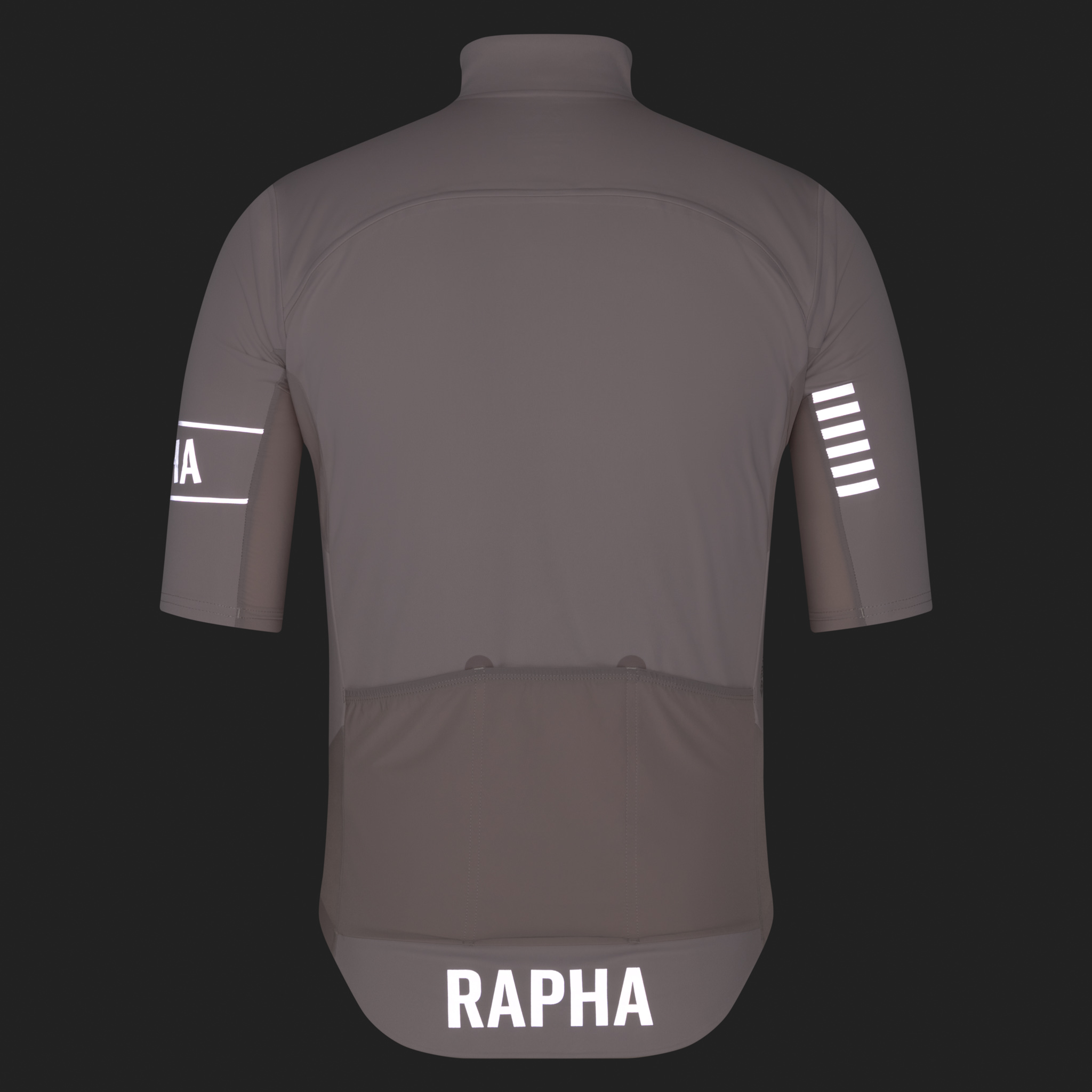 2937-Men-apos-s-Pro-Team-Windstopper-Jersey-Silver-Silver-Reflective-8.jpg Men's Pro Team Windstopper Jersey Silver/Silver Reflective