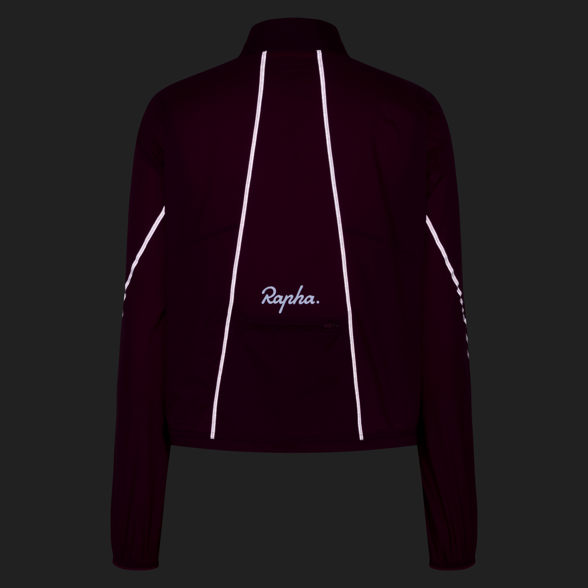 4589-Women-apos-s-Brevet-Element-Wind-Jacket-Plum-Caspia-Plum-Caspia-8.jpg Women's Brevet Element Wind Jacket Plum Caspia / Plum Caspia